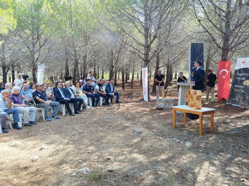 03-09-2024-bal-hasat-senligi