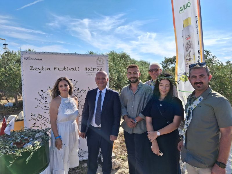 19-09-2024-zeytin